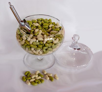Moghettes – Image 2