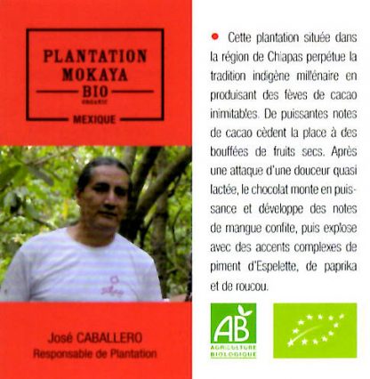 Tablettes chocolat noir de plantation – Image 5
