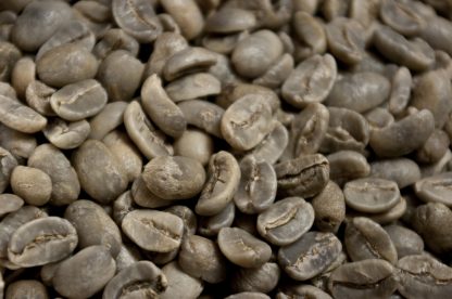 Grand cru du Salvador "Pacamara" – Image 2