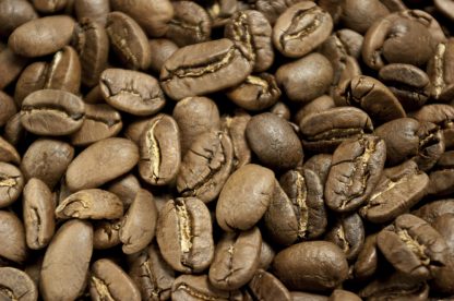 Grand cru du Salvador "Pacamara"