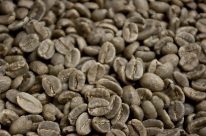 Grand cru du Mexique "Tapachula Chiapas" issue de l'agriculture biologique – Image 2