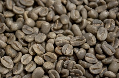 Grand cru d'Ethiopie Moka Yirgacheffe – Image 2