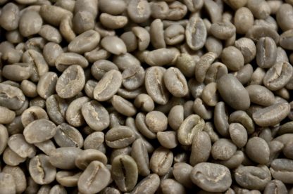 Grand cru d'Ethiopie Moka Sidamo – Image 2